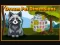 Jwèt Dream Pet Dimensions sou entènèt