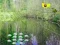 Jwèt Sunlight Forest Adventure sou entènèt