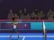 Jwèt Badminton Brawl sou entènèt