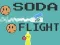 Jwèt Soda Flight sou entènèt