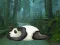 Jwèt Wakeup The Sleeping Panda sou entènèt