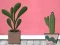 Jwèt Find Houseplant sou entènèt