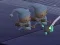 Jwèt Sleeping Babies sou entènèt