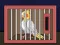 Jwèt Release The Cockatiel Bird sou entènèt