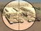 Jwèt Camo Sniper sou entènèt