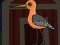 Jwèt Cute Godwit Escape sou entènèt