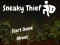 Jwèt Sneaky Thief sou entènèt