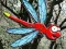 Jwèt Escape From Dragonfly Forest sou entènèt
