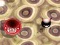 Jwèt Bouncing Blob sou entènèt