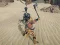 Jwèt The Scythian Warrior sou entènèt