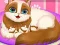 Jwèt Cute Kitty Pregnant sou entènèt