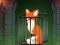 Jwèt Fox in the Forgotten Ruins sou entènèt
