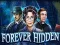 Jwèt Forever Hidden sou entènèt
