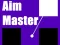 Jwèt Aim Master sou entènèt