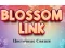 Jwèt Blossom Link sou entènèt