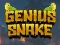 Jwèt Genius Snake sou entènèt