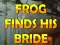 Jwèt Frog Finds His Bride sou entènèt