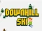 Jwèt Downhill Ski sou entènèt