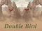 Jwèt Double Bird sou entènèt