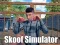 Jwèt Skoof Simulator sou entènèt