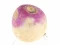 Jwèt Turnip sou entènèt