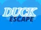 Jwèt Duck Escape sou entènèt