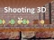 Jwèt Shooting 3D sou entènèt