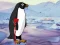 Jwèt Heal the Wounded Penguin sou entènèt