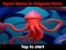 Jwèt Squid Game In Dalgona Panic sou entènèt