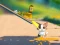Jwèt Cat Challenge sou entènèt