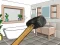Jwèt Smash The Room To Pieces sou entènèt