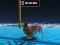 Jwèt Animal Impossible Track Rush sou entènèt
