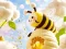 Jwèt Find The Differences: Little Bee's Adventure sou entènèt
