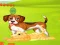 Jwèt Bunny Key Quest sou entènèt