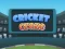 Jwèt Cricket Craze sou entènèt