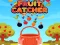 Jwèt Fruit Catchere sou entènèt