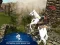 Jwèt Ertugrul Gazi Horse Sim sou entènèt