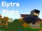 Jwèt Elytra Flight sou entènèt
