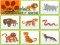 Jwèt Wild Animals Kids Memory game sou entènèt