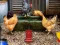 Jwèt Poultry Farm Easter Escape sou entènèt