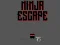 Jwèt Ninja escape sou entènèt