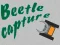 Jwèt Beetle Capture sou entènèt