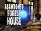Jwèt Abandoned Forest House sou entènèt