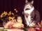 Jwèt Funny Cats Puzzle sou entènèt
