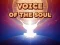 Jwèt Voice Of The Soul sou entènèt