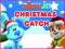 Jwèt Nick Jr. Christmas Catch sou entènèt