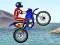Jwèt FMX team sou entènèt