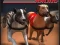 Jwèt Greyhound Racing sou entènèt