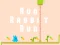 Jwèt Run Rabbit Run sou entènèt