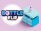Jwèt Bottle Flip sou entènèt